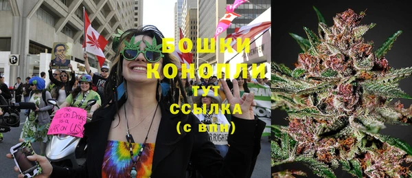 винт Белокуриха