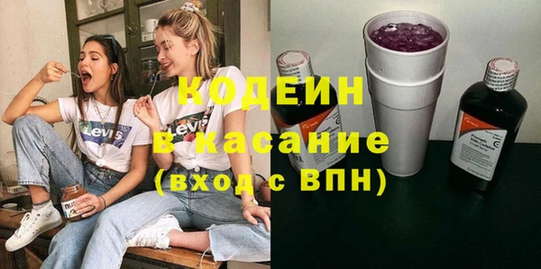 ECSTASY Пересвет